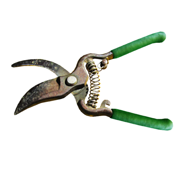 Garden Plier