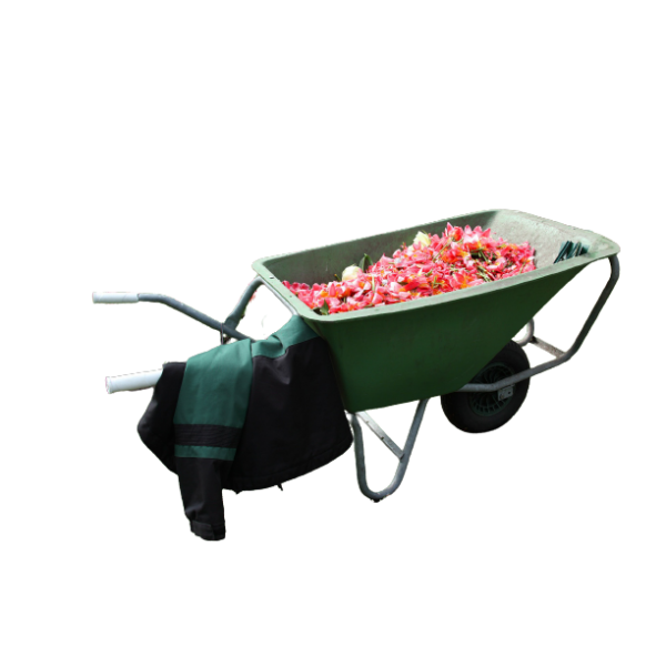 Wheel Barrow